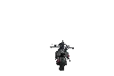 IMG_2801.webp