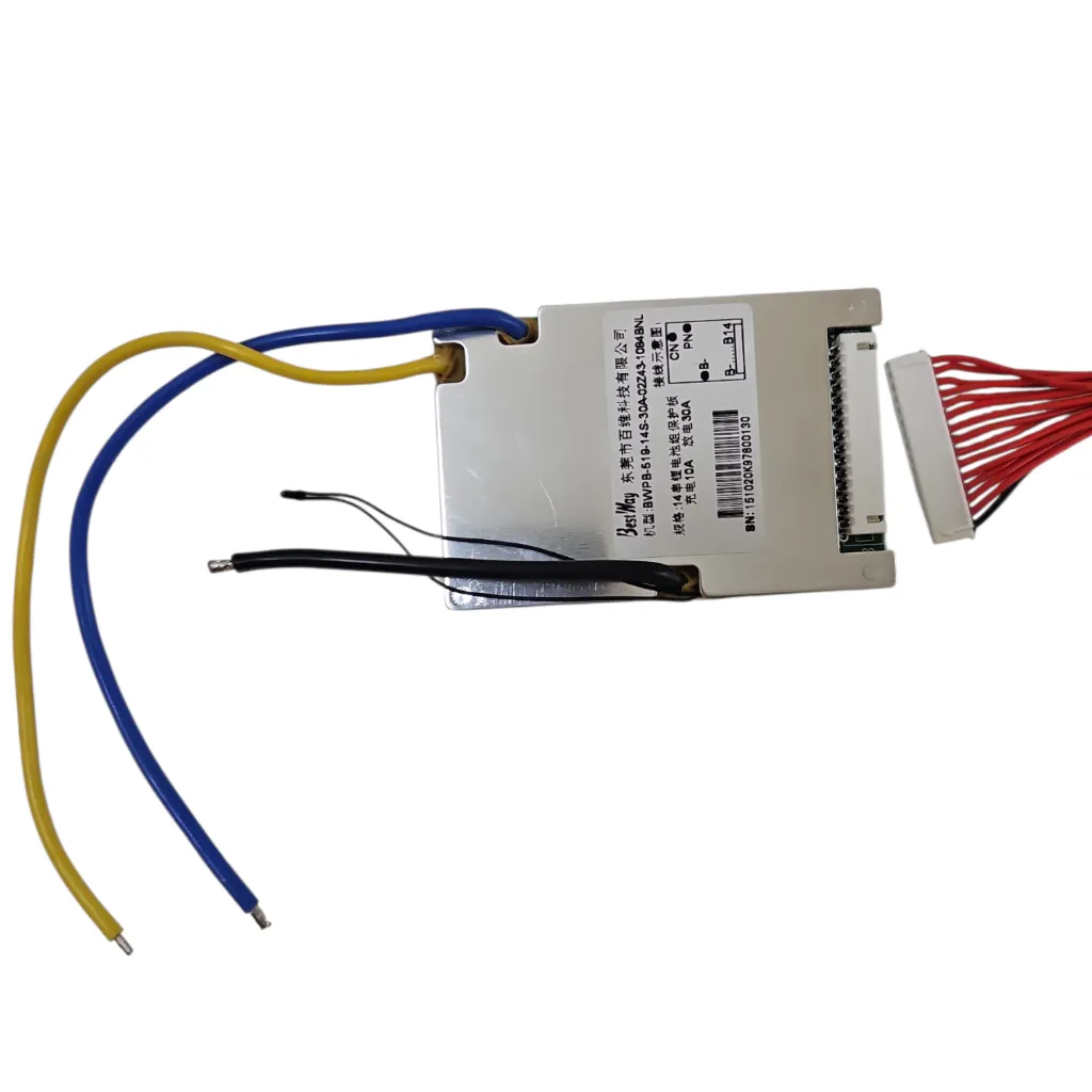 BMS (60V) for Dualtron