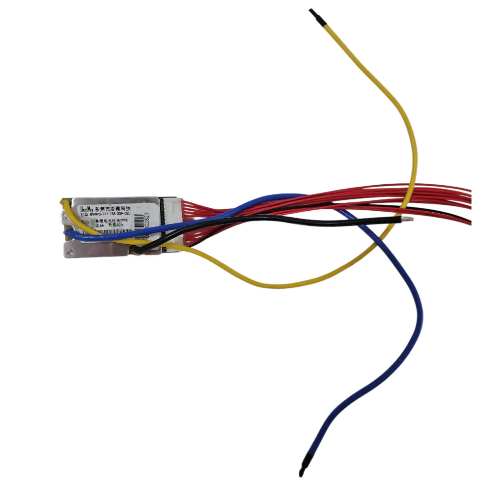 BMS (48V) for Speedway