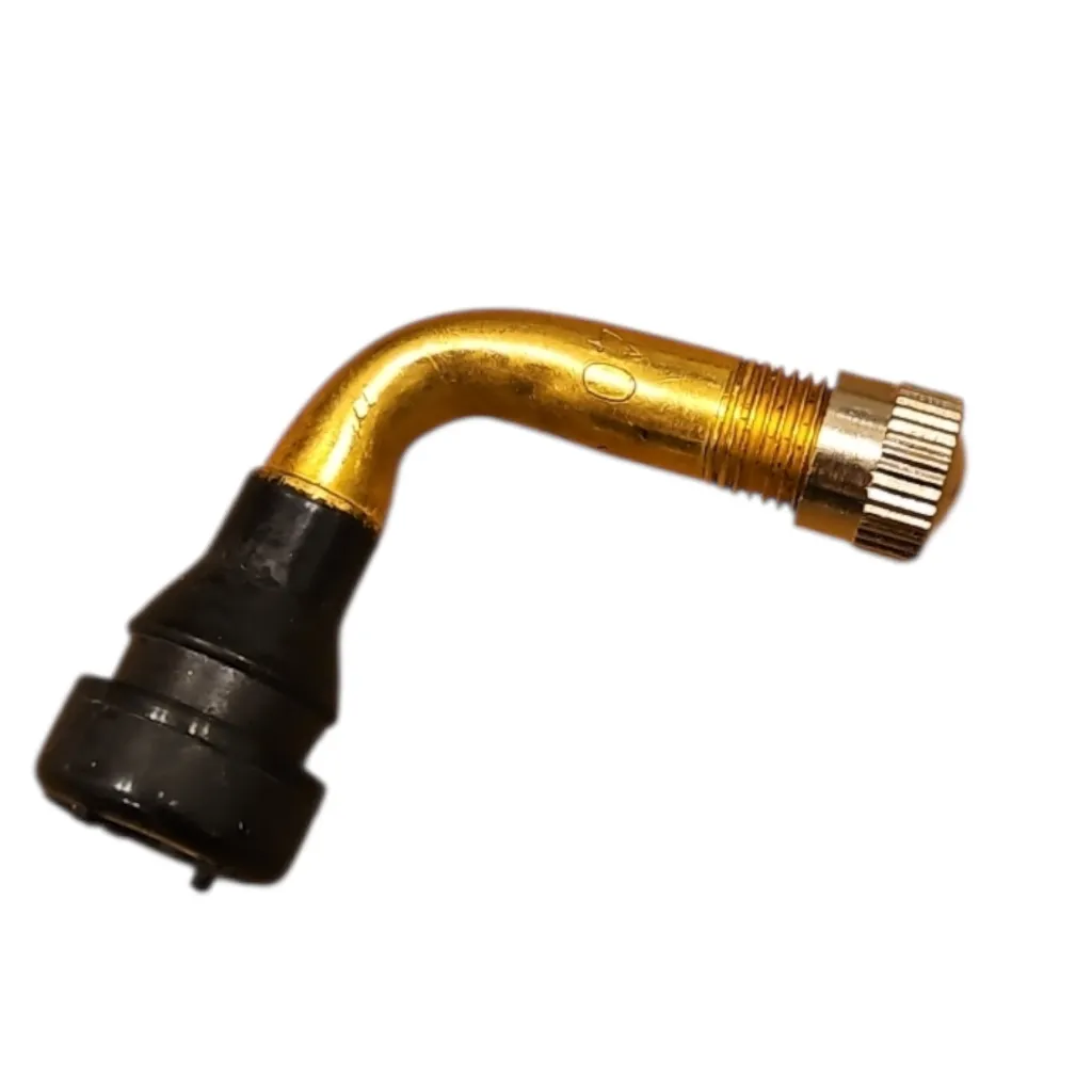 [03.010.00271] Ventil til Dualtron Dolphin / Aminia Special