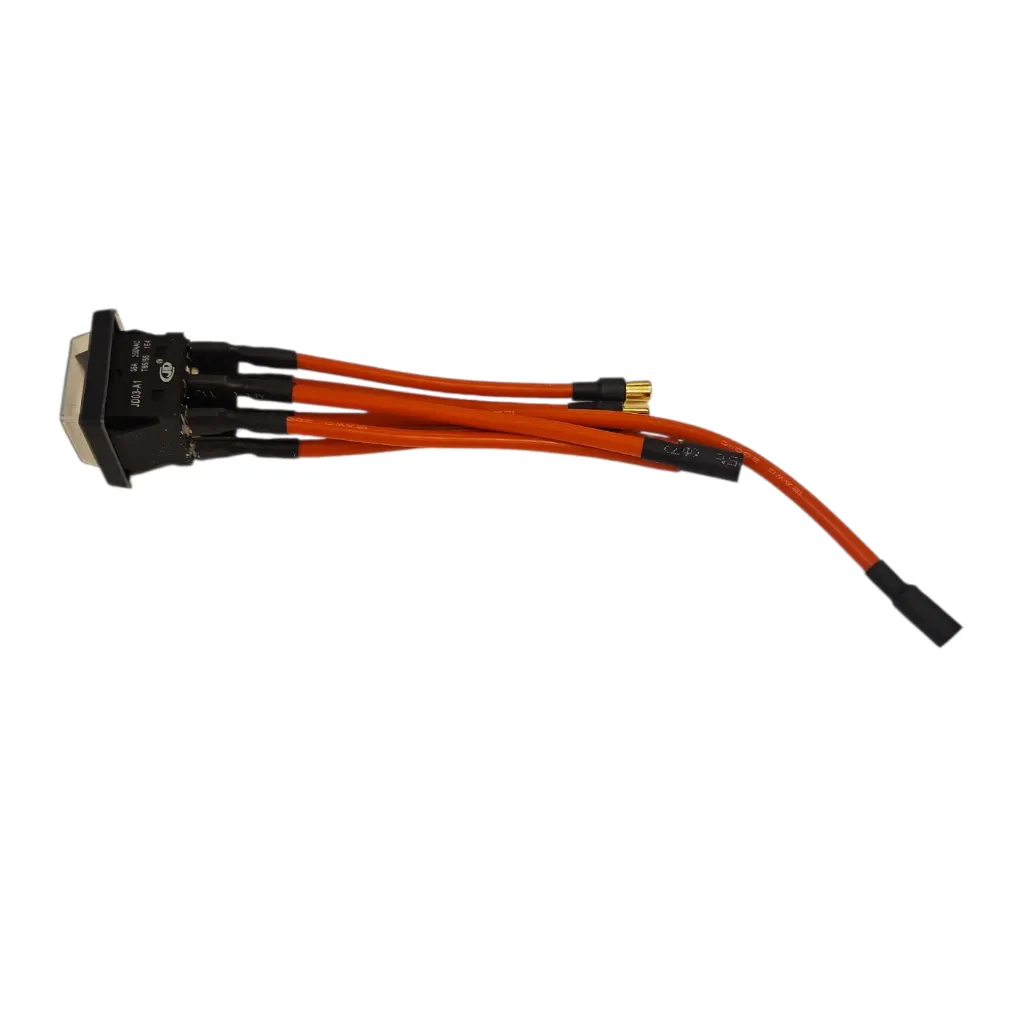 [02.207.00031] Main switch for Dualtron Thunder 2