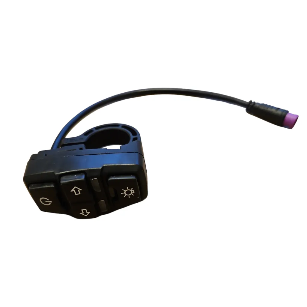 Multibryter for Dualtron Togo