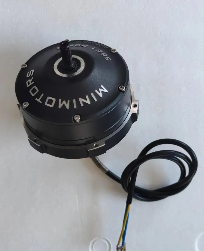 Motor for Dualtron Victor