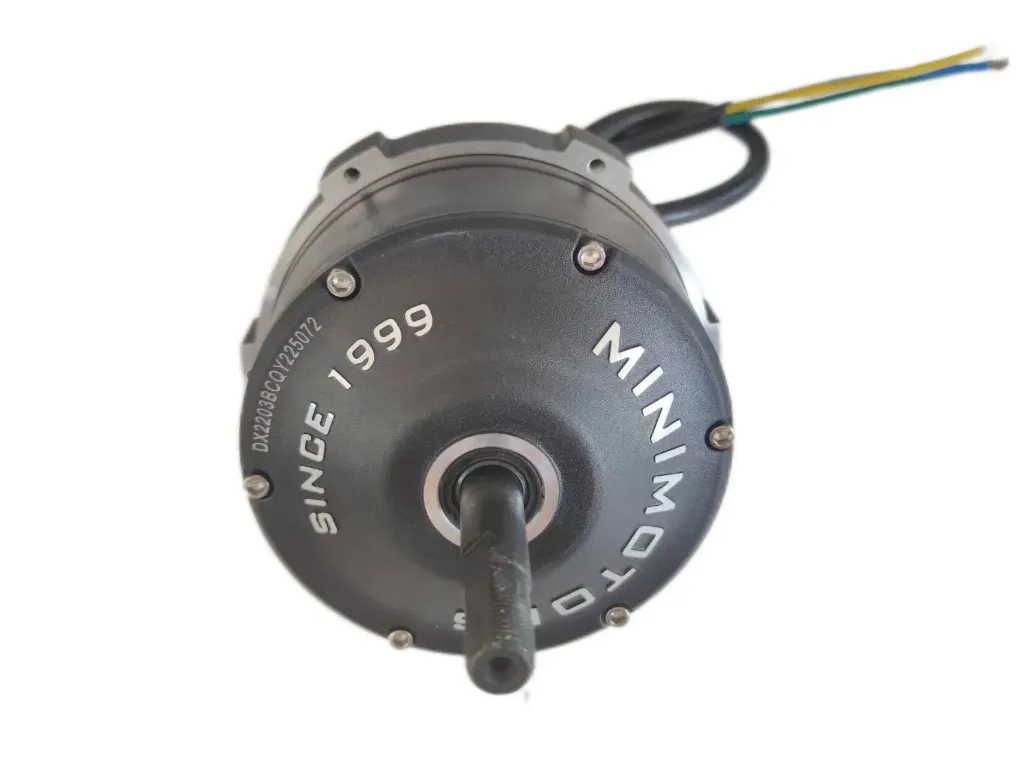 [02.205.00006] Motor til Dualtron X2 (Front)