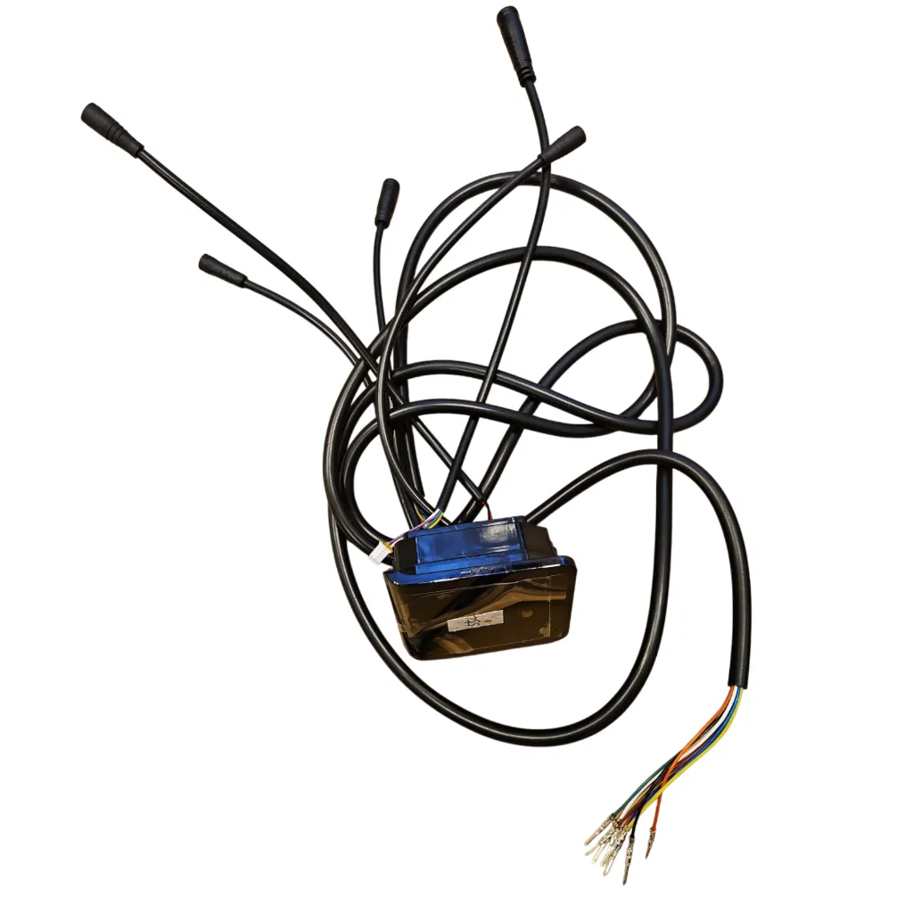 [02.204.00079] EY2-display til Dualtron Togo Limited